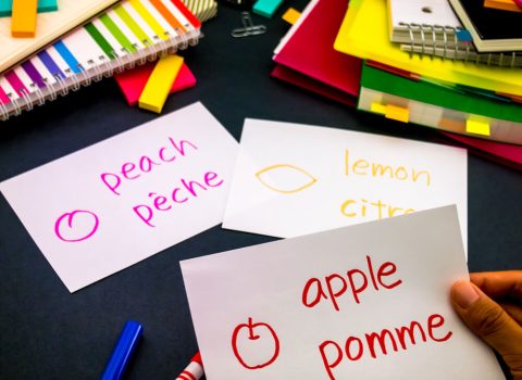 Mejora tu nivel de francés en verano tras un año escolar en un país de habla inglesa