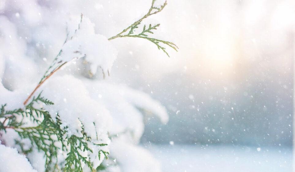 Entre culturas navideñas: ¡Tiempo para celebrar!