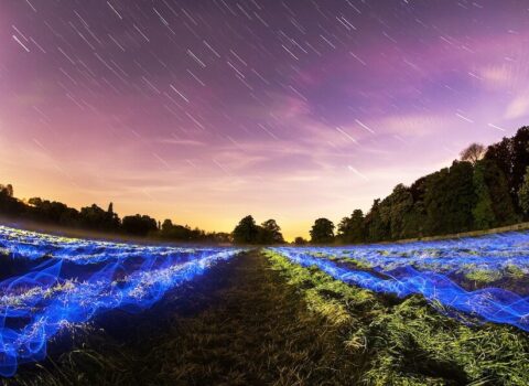 Nuestro planeta verde. Qué significa ahora sostenibilidad