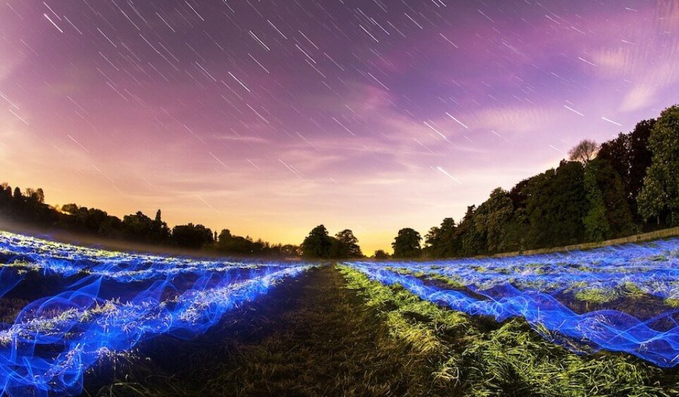 Nuestro planeta verde. Qué significa ahora sostenibilidad