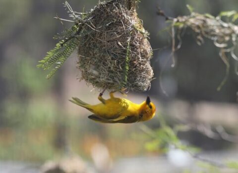 Momentos para volar: síndrome del nido vacío