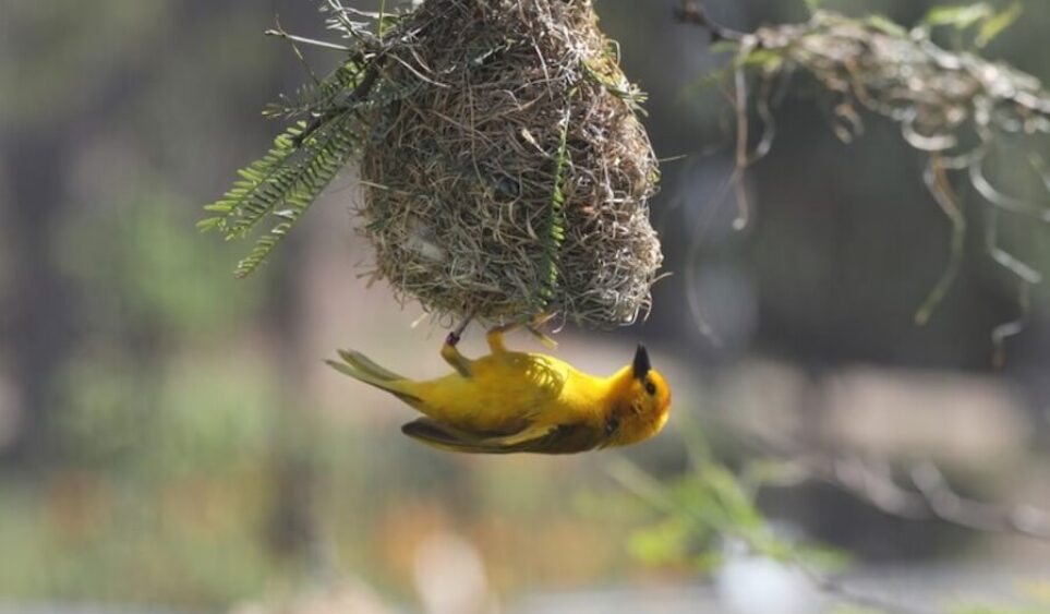 Momentos para volar: síndrome del nido vacío