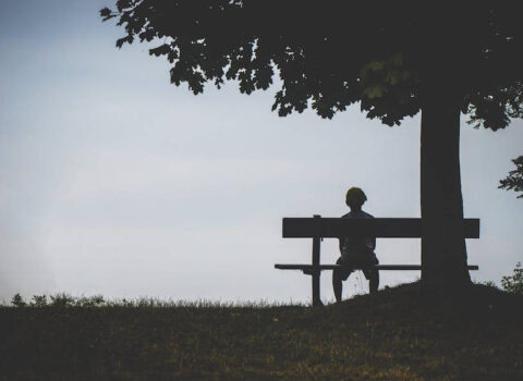 De soledad a plenitud. Estrategias para disfrutar en el extranjero