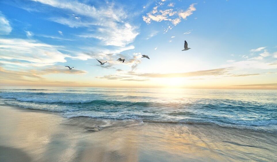 Yo y mi entorno: un viaje de exploración