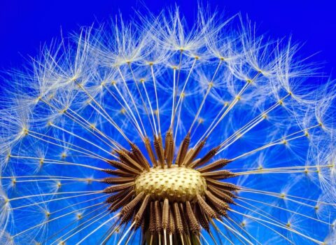 7 formas diferentes de pensar para viajar