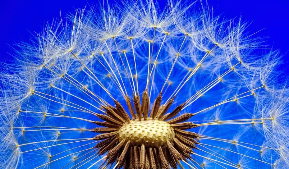 7 formas diferentes de pensar para viajar