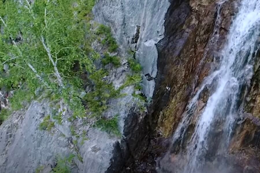 voices of metamorphosis