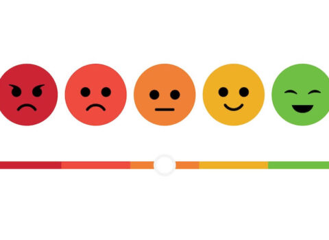 Entre la razón y la emoción