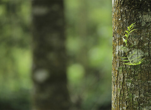 Teranga: La hospitalidad senegalesa que puede cambiar tu forma de estar en el mundo