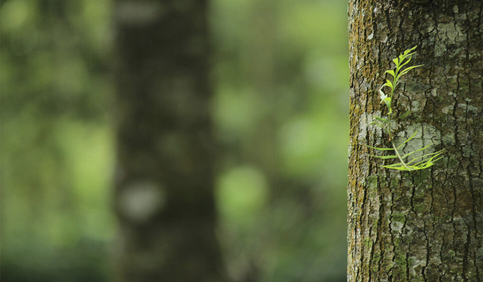 Teranga: La hospitalidad senegalesa que puede cambiar tu forma de estar en el mundo