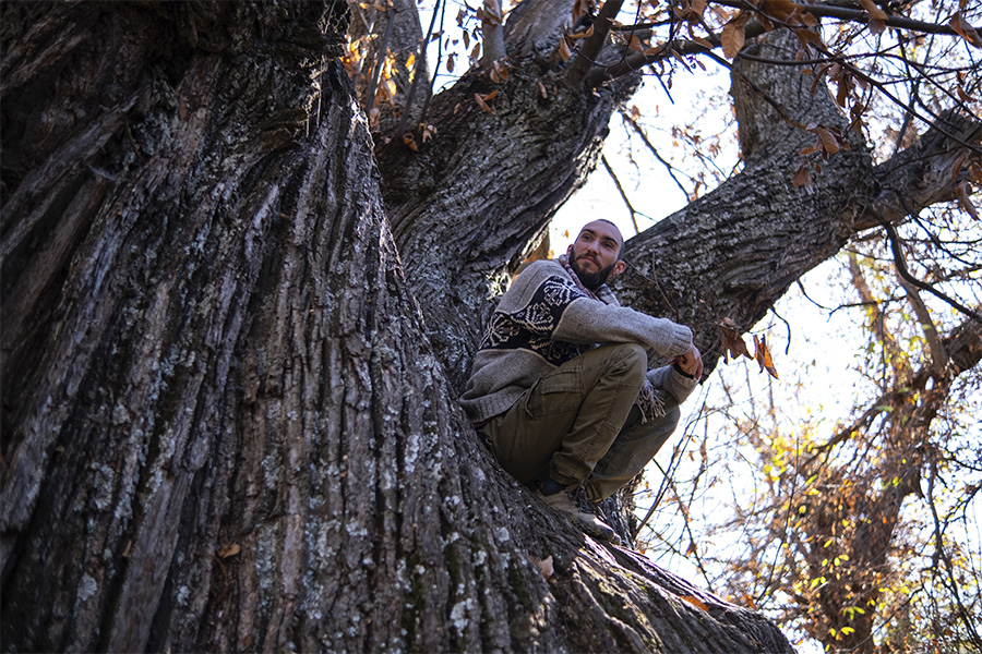Hombre joven sentado reflexionando sobre las ramas de un castaño centenario en La Alpujarra, Granada, rodeado de naturaleza.