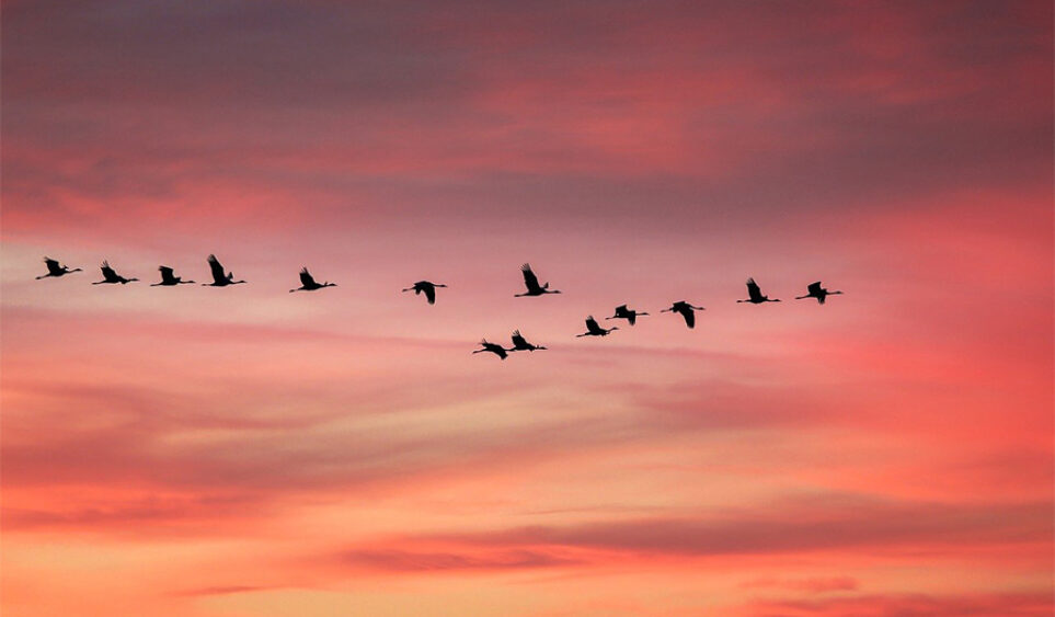 Del mito del “yo solo” al poder del “nosotros”: por qué imaginar juntos es un acto revolucionario