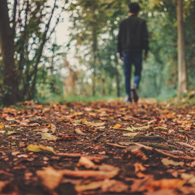 Este 2026 incorpora hábitos japoneses para una vida equilibrada