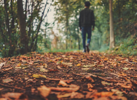 Este 2026 incorpora hábitos japoneses para una vida equilibrada