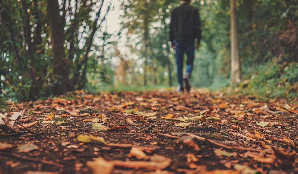 Este 2026 incorpora hábitos japoneses para una vida equilibrada