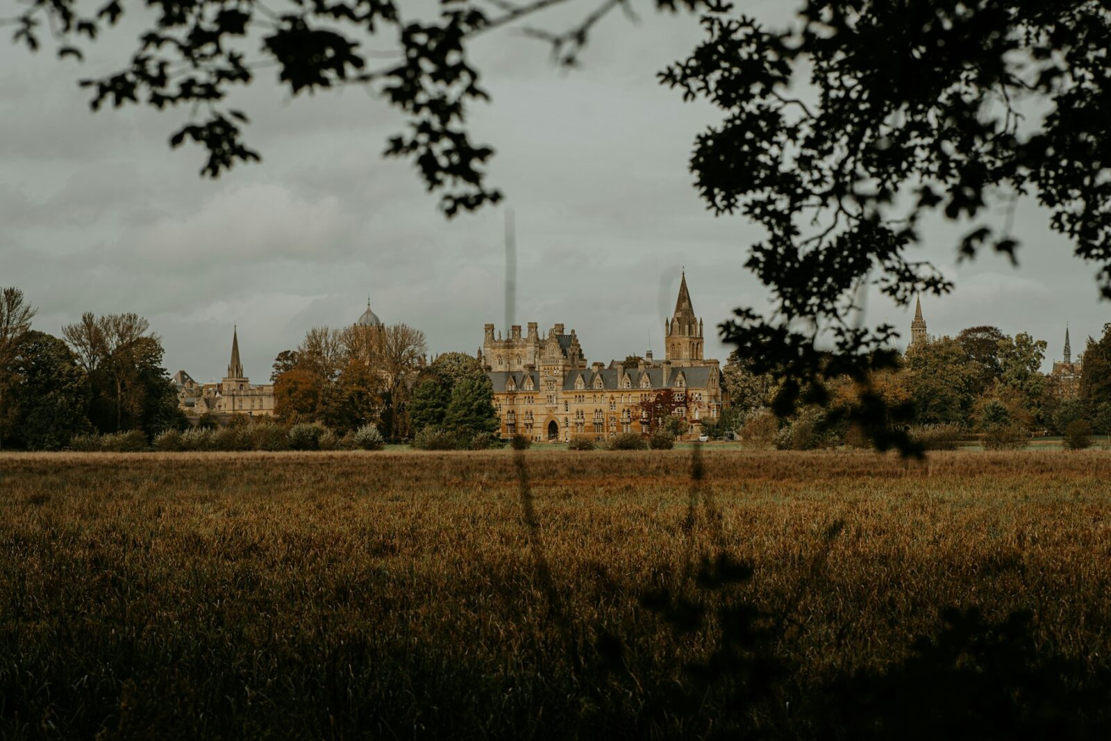 Otros destinos — Francia, Alemania, Nueva Zelanda